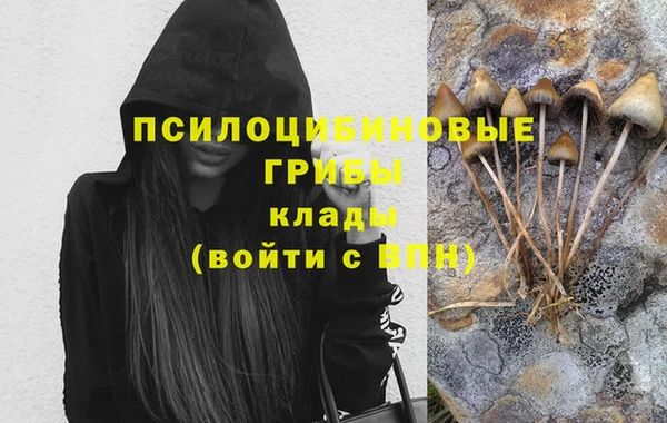 мяу мяу кристалл Няндома