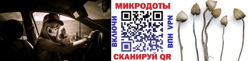 Купить Якутск Псилоцибиновые грибы Psilocybe